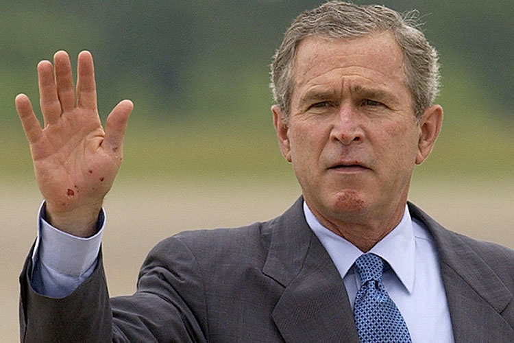 [Bush6.jpg]