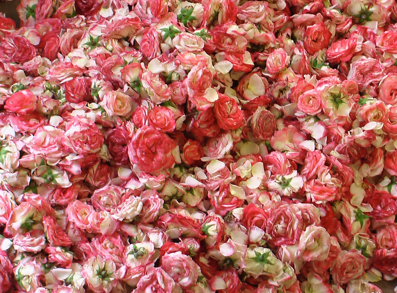 Grasse, France. Perfume capitol. Slightly away from the crowded Riveria