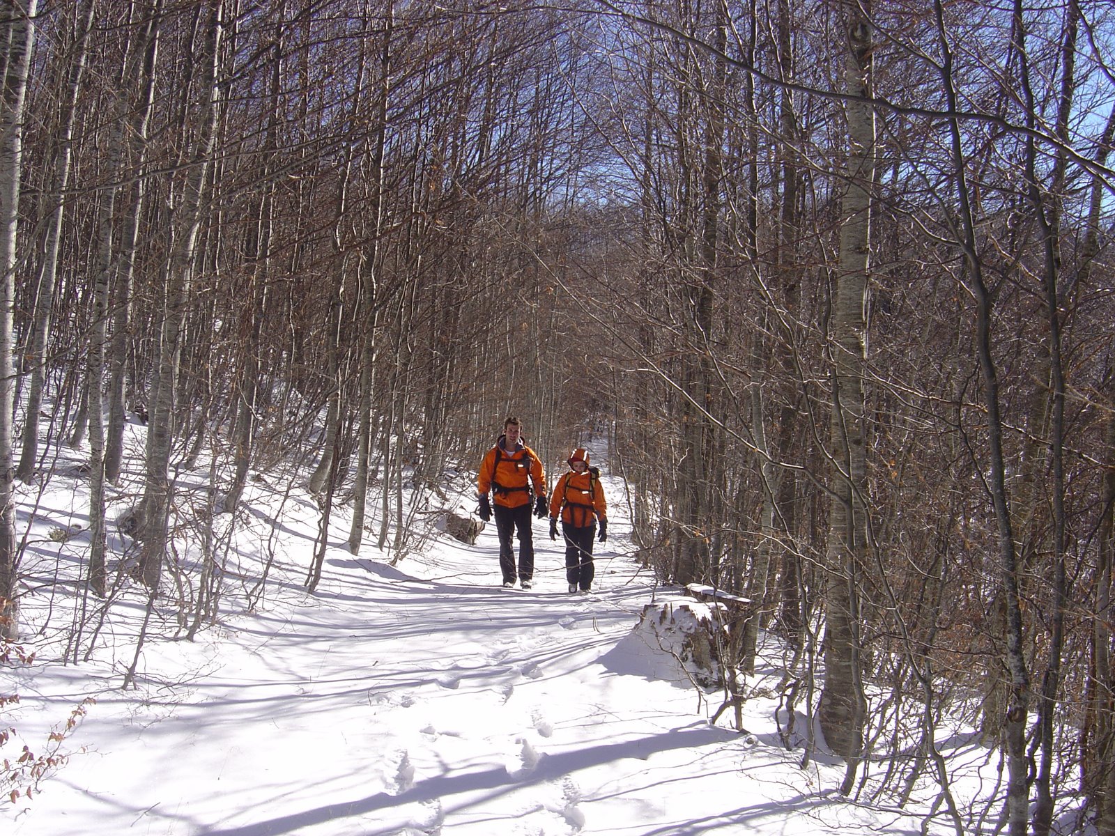 [DSC00463.JPG]