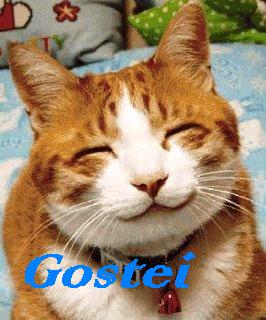 [gostei.jpg]