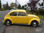The Bug Side View