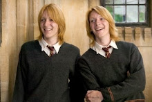 The Weasley Twins