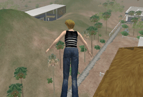 [SLFlying.png]