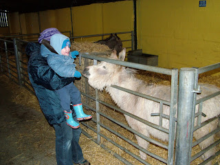Talking to the Donkey