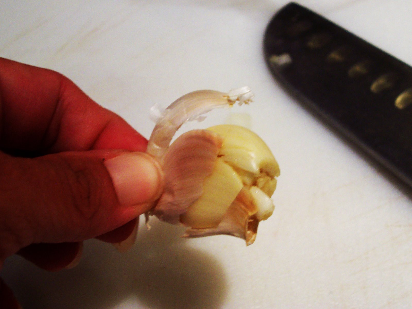 [peeling+garlic+2.jpg]