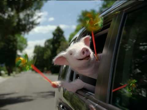 GEICO Pig on a Date Angers One Million.