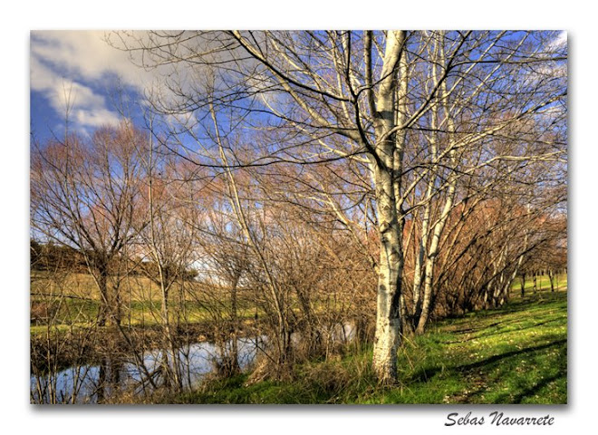 Arroyo de la Recomba