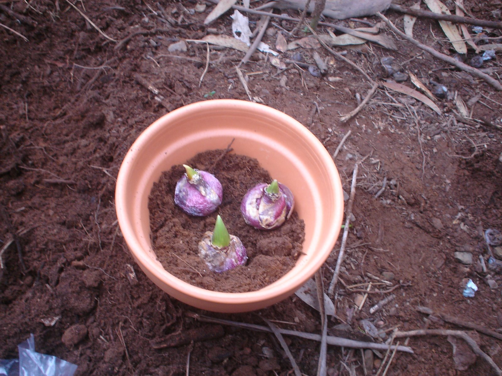 [fev+2008004.JPG]