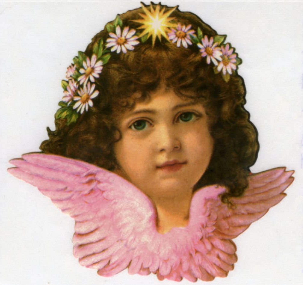 (Crain sales limos hears marietta ga, medical supplies knee brace