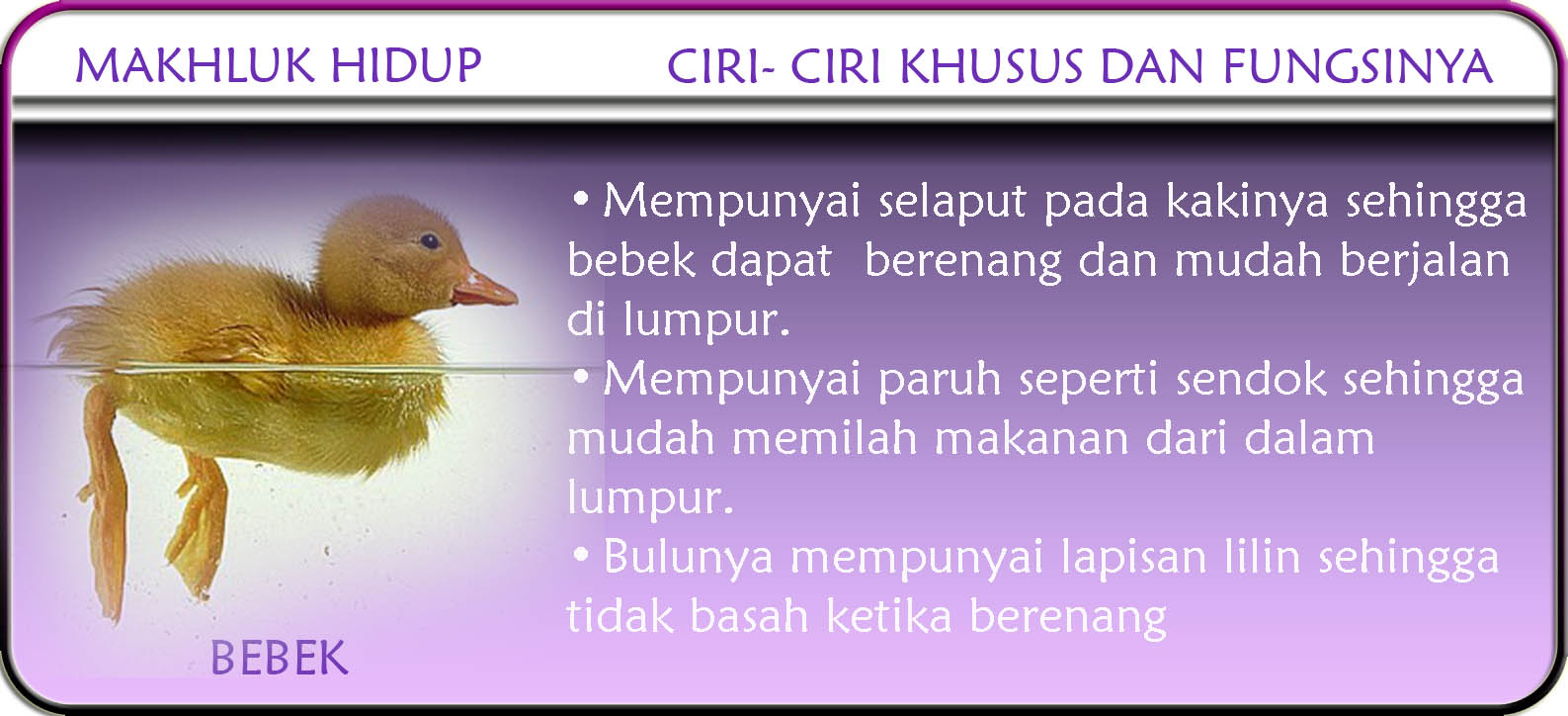 X-PLORE: Ciri-ciri khusus makhluk hidup