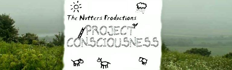 The Nutters Productions