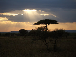 King Tabs :: Africans Ululating