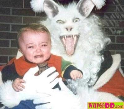 scary easter bunny pics. scary easter bunny pics.