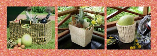 Basket the fruit of a unique natural, Basket, Collection, Natural Handicraft, Natural Craft