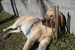 E após o banho... Soneca