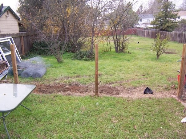 [backyard1.bmp]