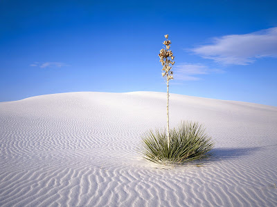 wallpapers of nature hd. wallpaper of nature hd. wallpapers of nature hd.