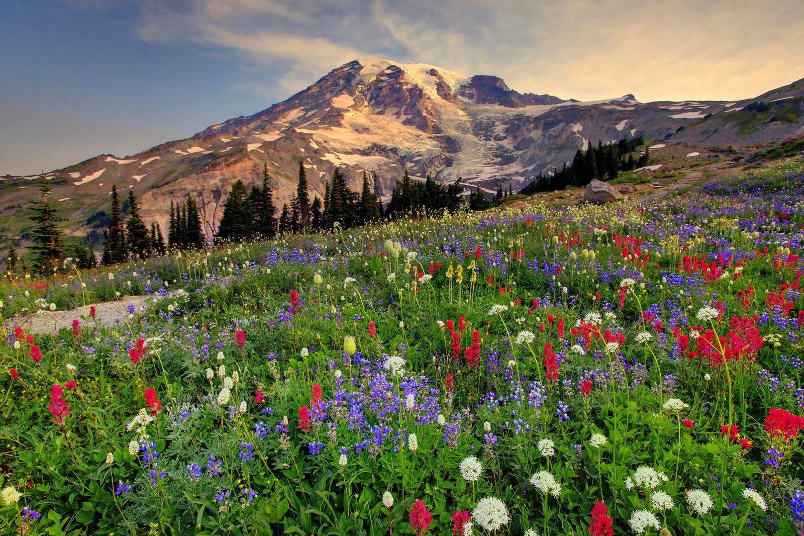 mount rainier washington hd desktop wallpaper christmas lights oregon