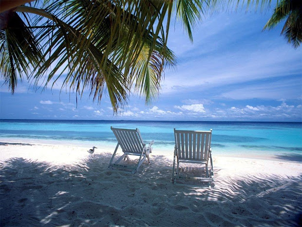 beach landscapes summer desktop