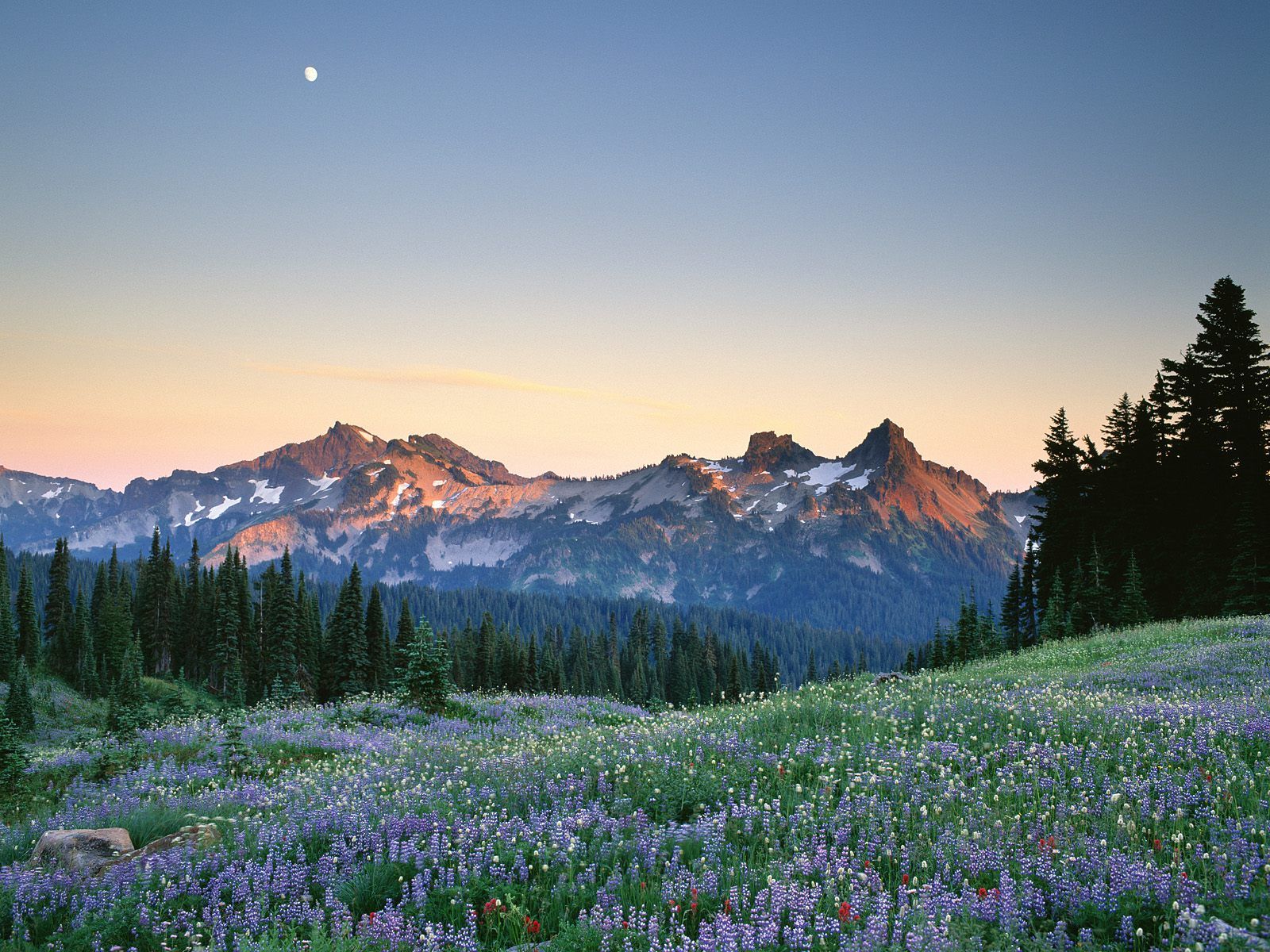 Mount Rainier, Washington - Hd Backgrounds | Hd Desktop Wallpaper