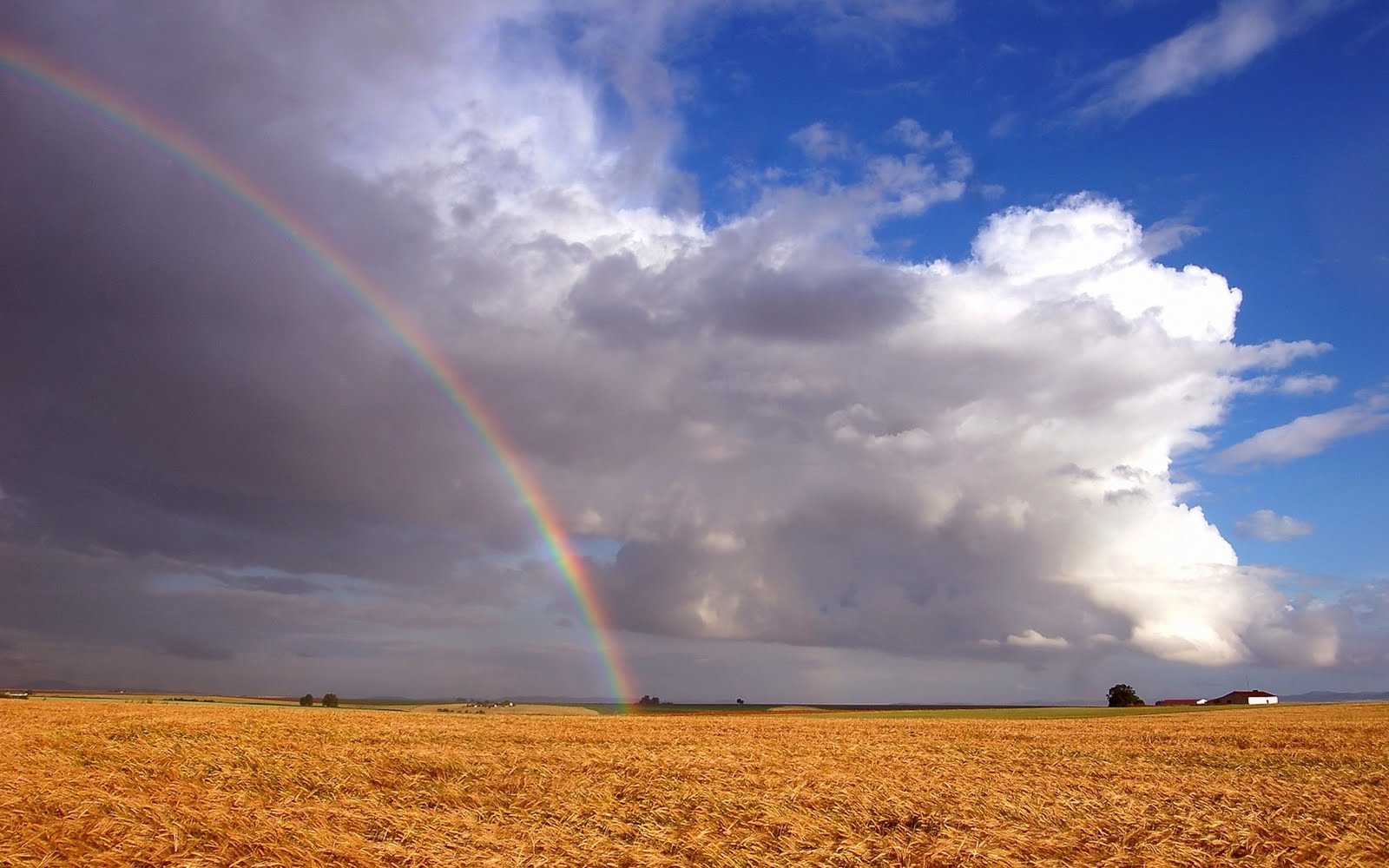 http://4.bp.blogspot.com/_2IU2Nt4rD1k/TDorLev2SDI/AAAAAAAAB3U/8qBGL2KROI4/s1600/rainbow_wallpaper.jpg