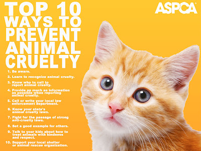 prevent animal cuelty animal cruelty quotes. prevent animal cuelty