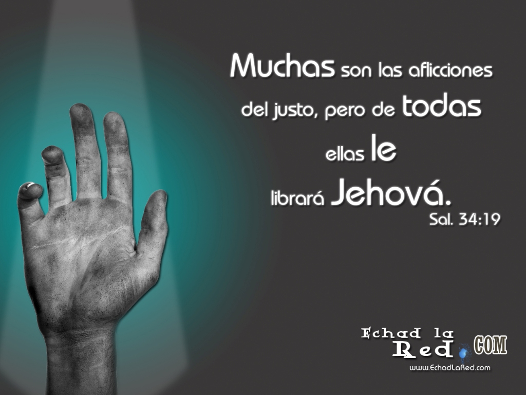 FONDO MENSAJE fondo mensaje: