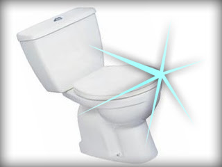 clean_sparkling_toilet.jpg