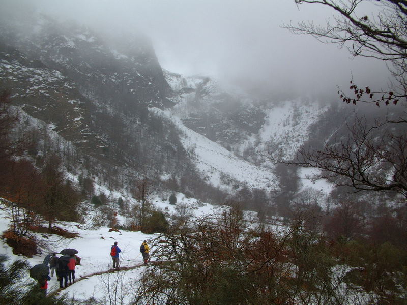 [DSCF0023.JPG]
