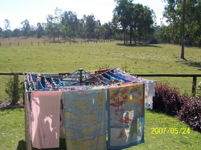 [Washing+-+paddock.jpg]