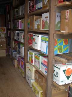 [shipping+container+books28.JPG]