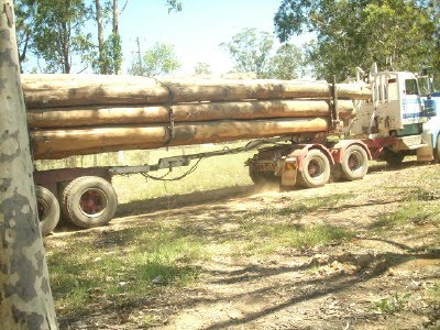 [logging+truck+2.jpg]
