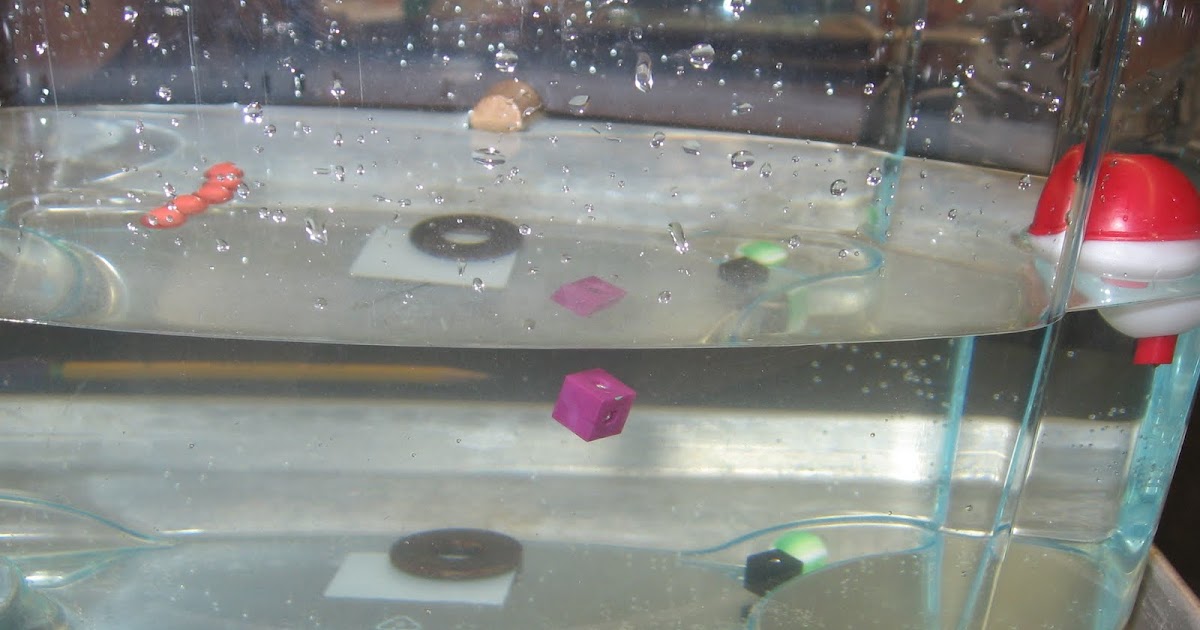 Mr. Williams 6th Grade Science Blog Sink or Float An Introduction to Density