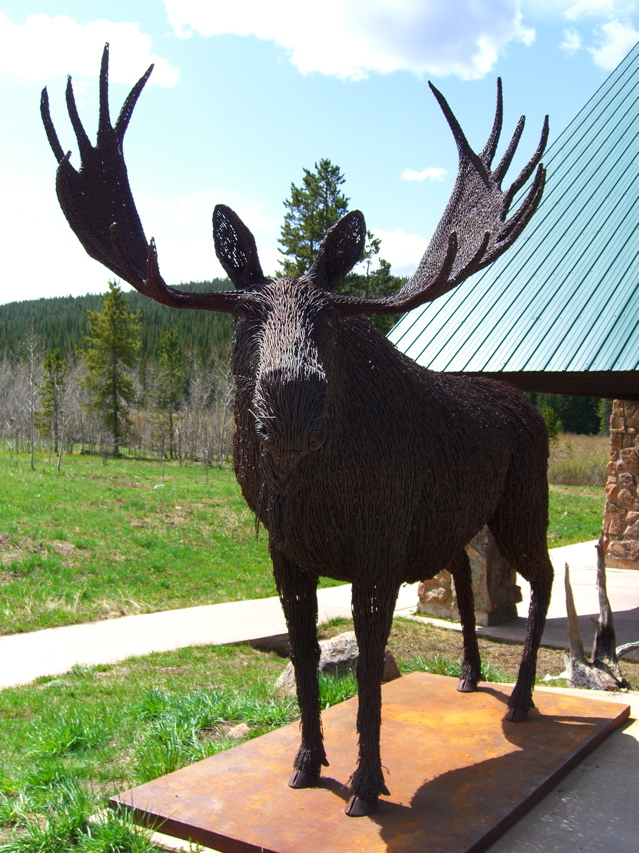 [moose.jpg]
