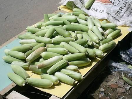 [PIC_0506.JPG]