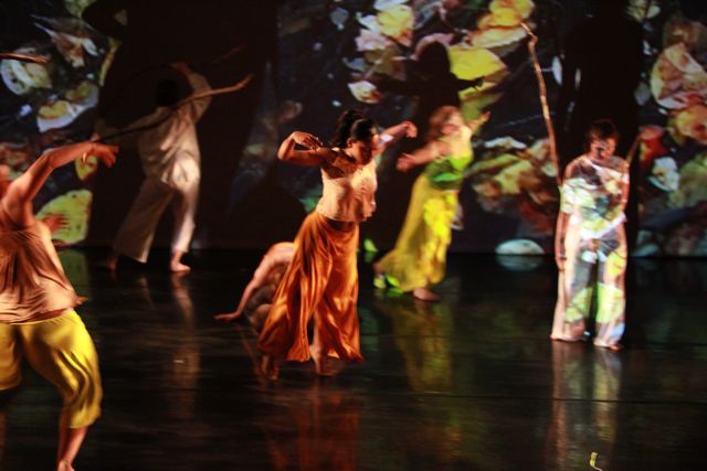 Merián Soto/ Branch Dances