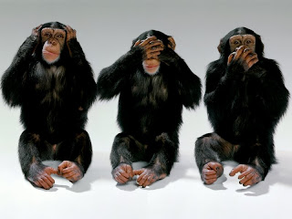 http://4.bp.blogspot.com/_2K3PwyhB7qA/SLwaah07EhI/AAAAAAAAANc/6boh1c5wuRo/s320/wildlife-monkeys-hear-no-evil-see-no-evil-speak-no-evil.jpg