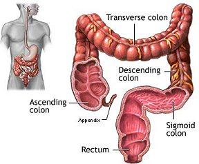 http://www.coloncleansemedicine.com