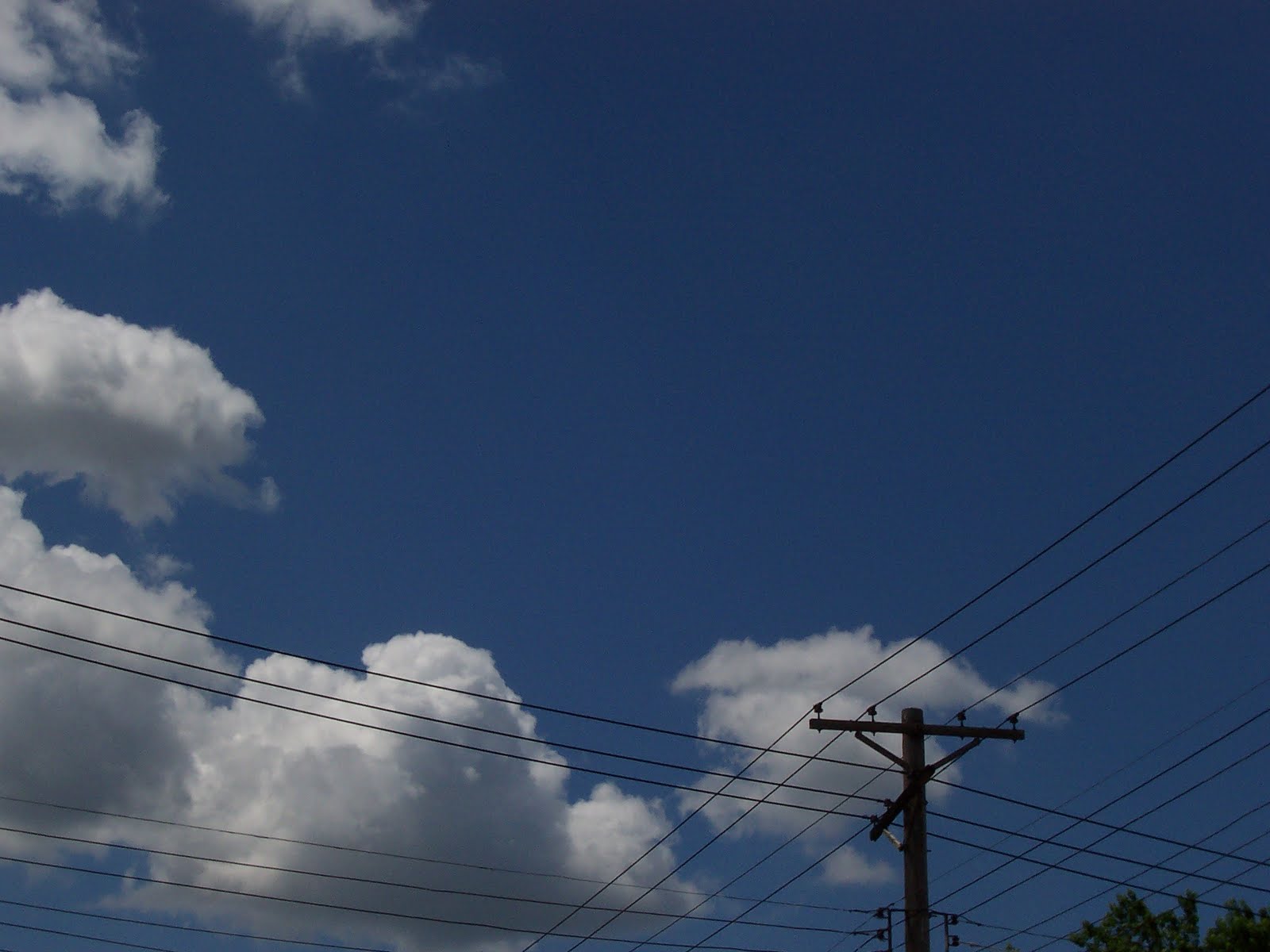 [2008_july6_6months+015.jpg]