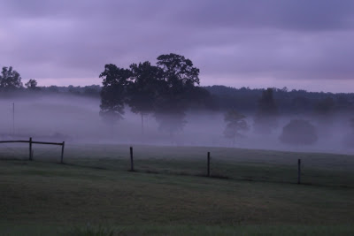This is why we almost named it Foggy Bottom Farm.