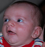 1 Month Old