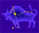 [tauro.gif]