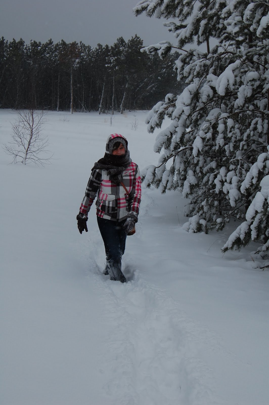 [DSC_0776.JPG]