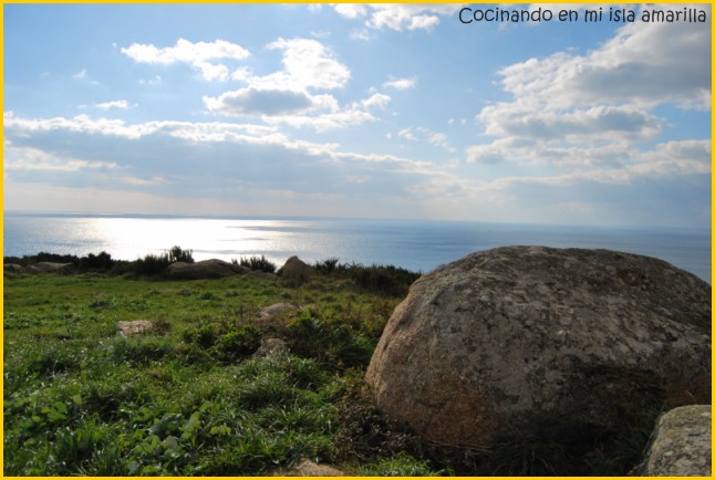 [DSC_0510+[640x480].jpg]