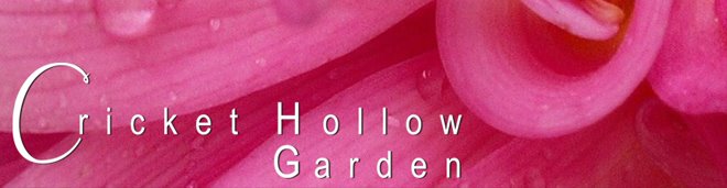 Cricket Hollow Garden