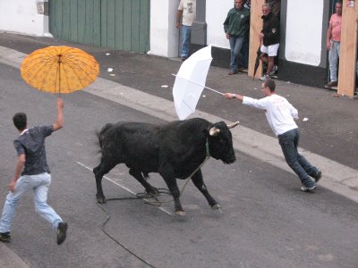 [TOURADAS_A_CORDA_ILHA_TERCEIRA+016.jpg]