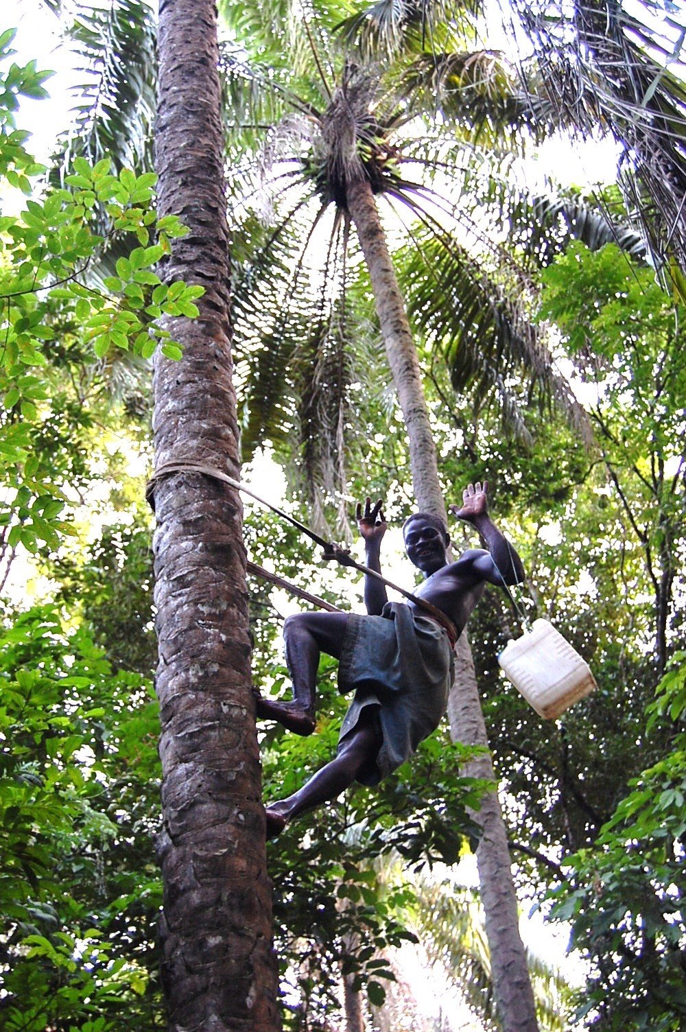 [palmwine.jpg]