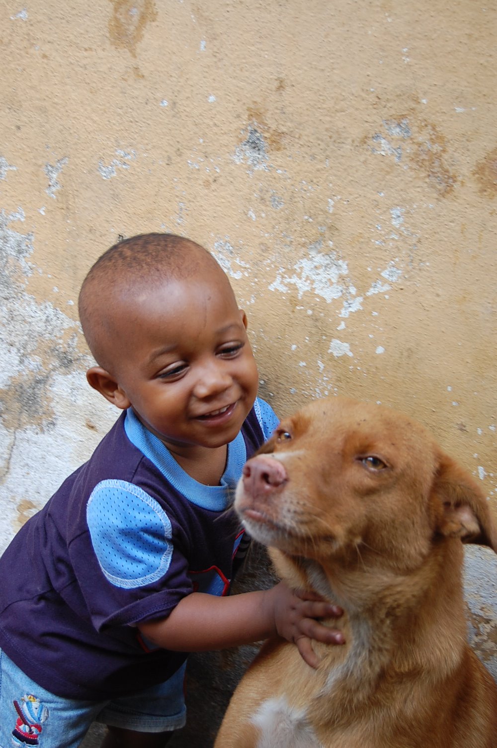 [Roo+&+Simba.JPG]