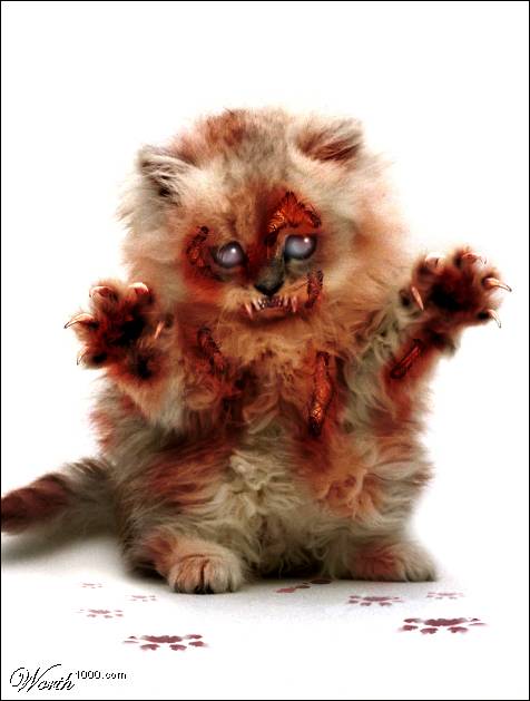 [zombie-cat.jpg]
