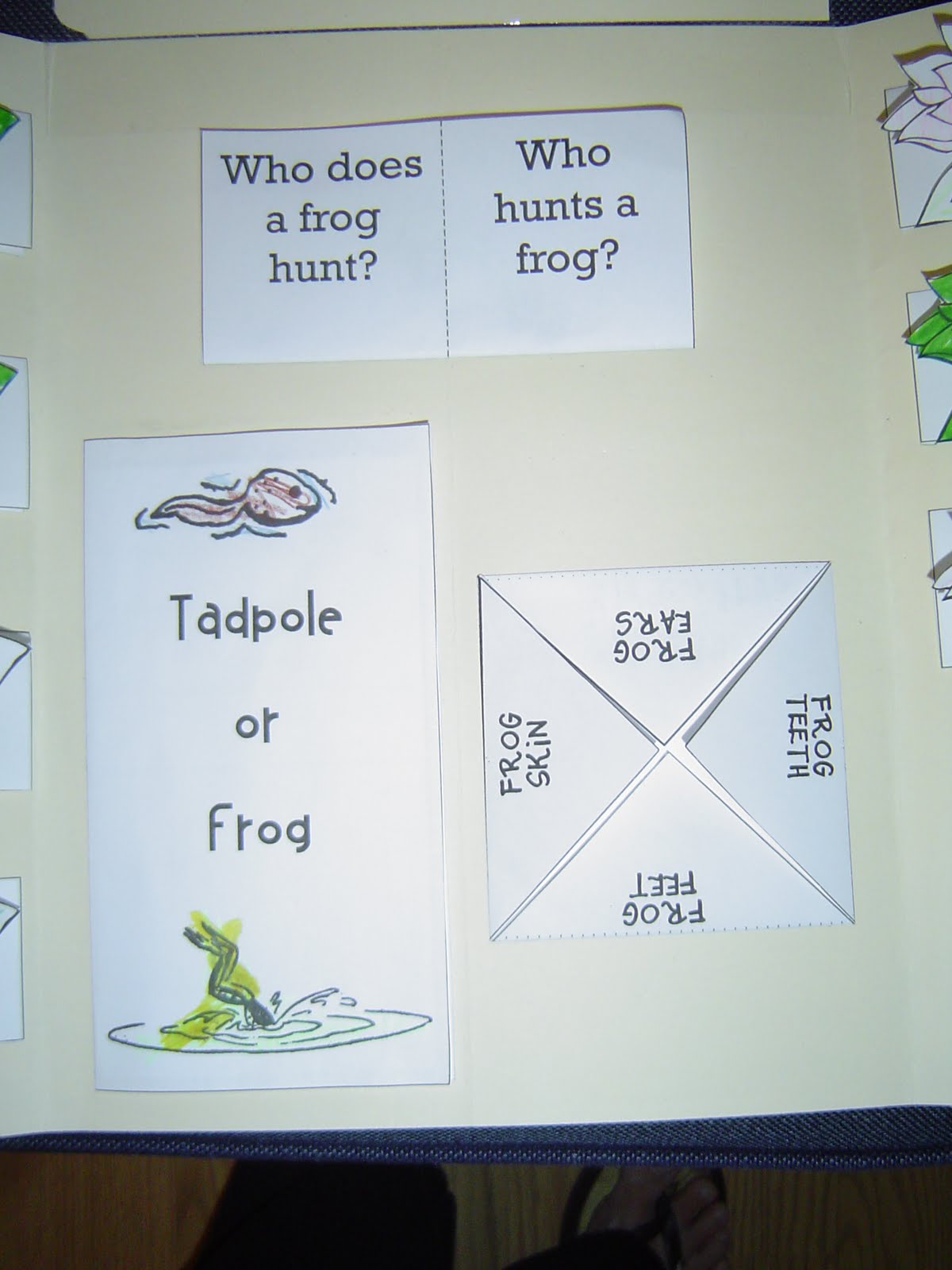 My Two Happy Homeschoolers Frog Lapbook